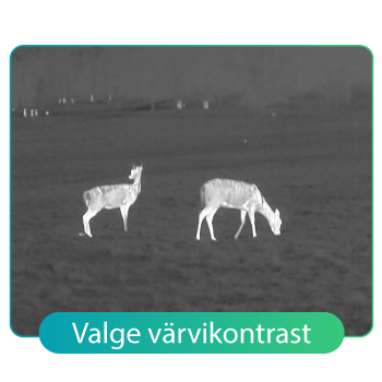 HikMicro-LYNX-Valge-värvikontrast