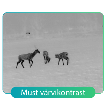HikMicro-LYNX-must-värvikontrast