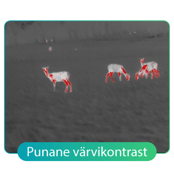 HikMicro-LYNX-punane-värvikontrast